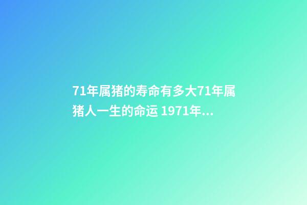 71年属猪的寿命有多大71年属猪人一生的命运 1971年属猪的命运怎么样，属猪人要远离哪些生肖-第1张-观点-玄机派